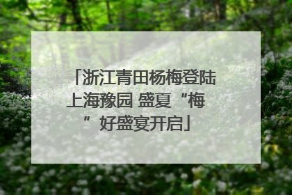 浙江青田杨梅登陆上海豫园 盛夏“梅”好盛宴开启