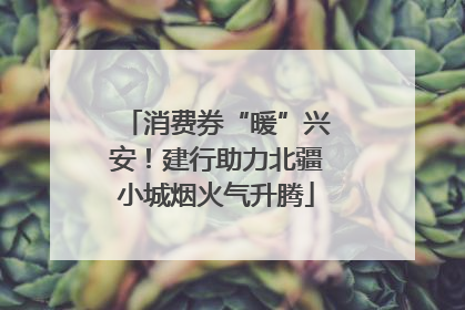 消费券“暖”兴安！建行助力北疆小城烟火气升腾