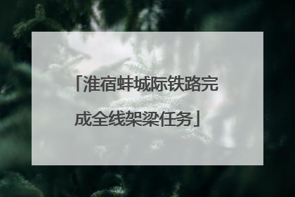 淮宿蚌城际铁路完成全线架梁任务
