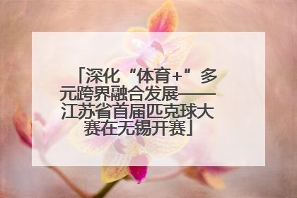 深化“体育+”多元跨界融合发展——江苏省首届匹克球大赛在无锡开赛