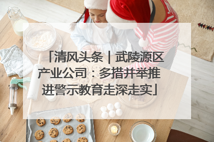 清风头条｜武陵源区产业公司：多措并举推进警示教育走深走实