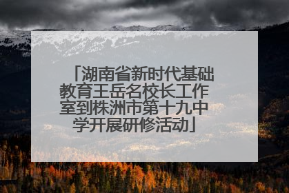 湖南省新时代基础教育王岳名校长工作室到株洲市第十九中学开展研修活动