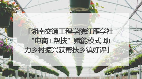 湖南交通工程学院红雁学社“电商+帮扶”赋能模式 助力乡村振兴获帮扶乡镇好评