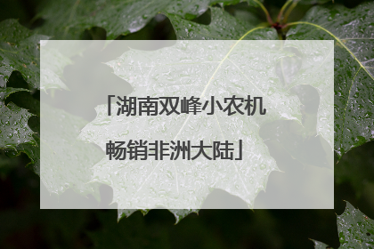 湖南双峰小农机畅销非洲大陆