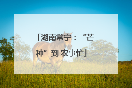 湖南常宁：“芒种”到 农事忙