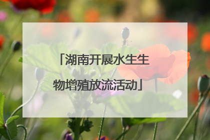 湖南开展水生生物增殖放流活动