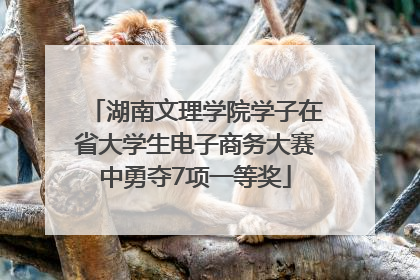 湖南文理学院学子在省大学生电子商务大赛中勇夺7项一等奖