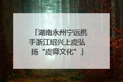 湖南永州宁远携手浙江绍兴上虞弘扬“虞舜文化”