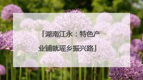 湖南江永：特色产业铺就瑶乡振兴路