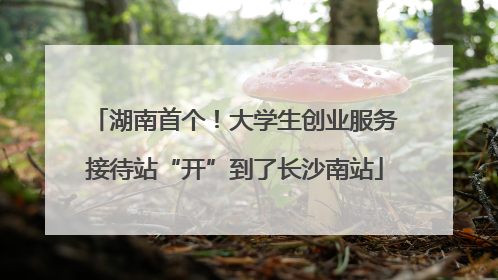 湖南首个！大学生创业服务接待站“开”到了长沙南站