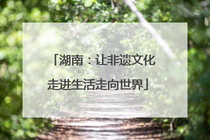 湖南：让非遗文化走进生活走向世界