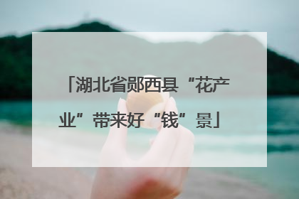 湖北省郧西县“花产业”带来好“钱”景