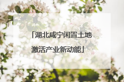 湖北咸宁闲置土地激活产业新动能