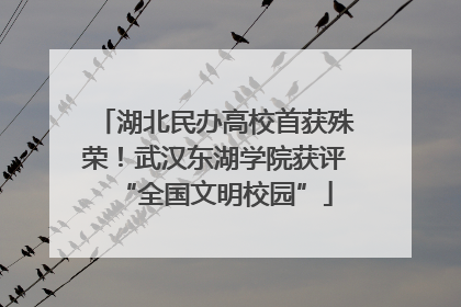 湖北民办高校首获殊荣！武汉东湖学院获评“全国文明校园”