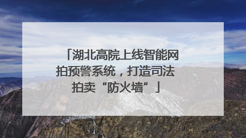 湖北高院上线智能网拍预警系统，打造司法拍卖“防火墙”