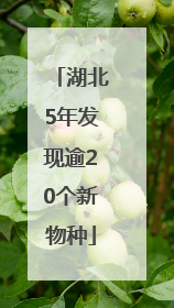 湖北5年发现逾20个新物种