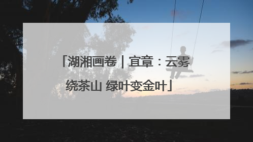 湖湘画卷｜宜章：云雾绕茶山 绿叶变金叶