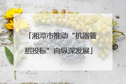 湘潭市推动“机器管招投标”向纵深发展