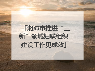 湘潭市推进“三新”领域妇联组织建设工作见成效