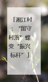 湘江村：“留守村落”蝶变“振兴标杆”
