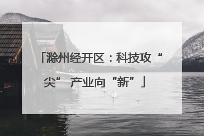 滁州经开区：科技攻“尖” 产业向“新”
