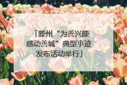 滕州“为善兴滕 感动善城”典型事迹发布活动举行
