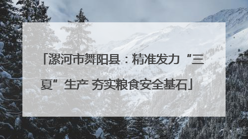 漯河市舞阳县：精准发力“三夏”生产 夯实粮食安全基石