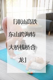 漳汕高铁东山跨海特大桥栈桥合龙