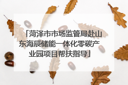 菏泽市市场监管局赴山东海辰储能一体化零碳产业园项目帮扶指导