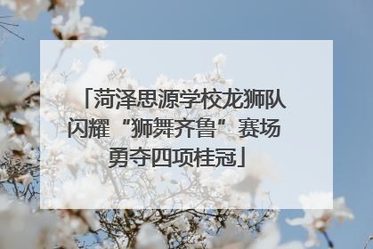 菏泽思源学校龙狮队闪耀“狮舞齐鲁”赛场 勇夺四项桂冠