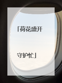 荷花盛开守护忙