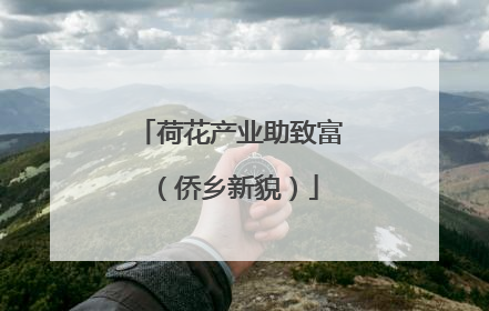 荷花产业助致富（侨乡新貌）