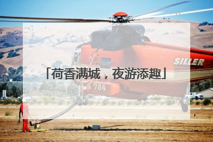 荷香满城，夜游添趣