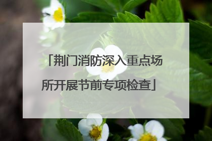 荆门消防深入重点场所开展节前专项检查