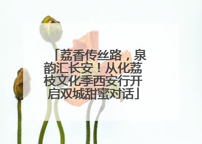 荔香传丝路，泉韵汇长安！从化荔枝文化季西安行开启双城甜蜜对话