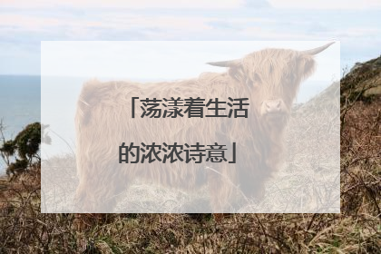 荡漾着生活的浓浓诗意