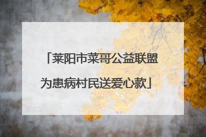 莱阳市菜哥公益联盟为患病村民送爱心款