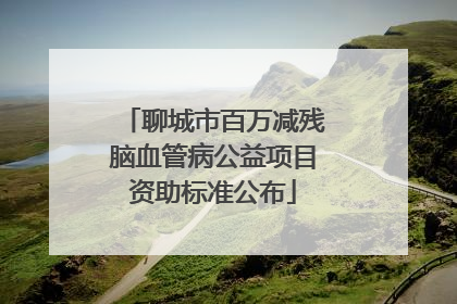聊城市百万减残脑血管病公益项目资助标准公布