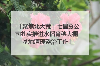 聚焦北大荒｜七星分公司扎实推进水稻育秧大棚基地清理整治工作