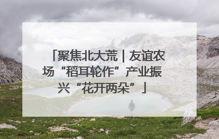 聚焦北大荒｜友谊农场“稻耳轮作”产业振兴“花开两朵”