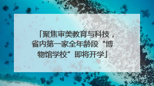 聚焦审美教育与科技，省内第一家全年龄段“博物馆学校”即将开学