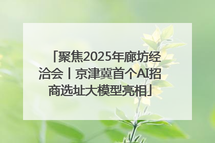 聚焦2025年廊坊经洽会丨京津冀首个AI招商选址大模型亮相