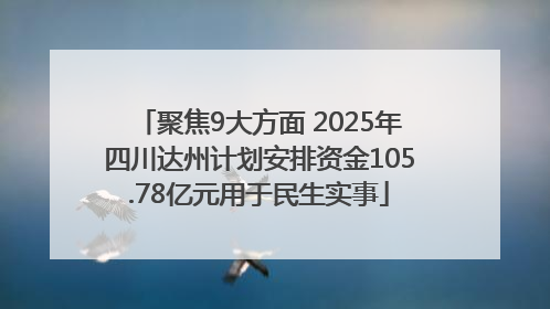 聚焦9大方面 2025年四川达州计划安排资金105.78亿元用于民生实事
