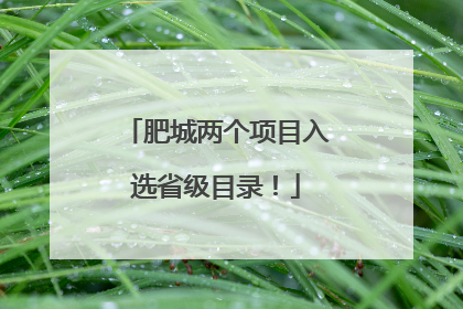 肥城两个项目入选省级目录！