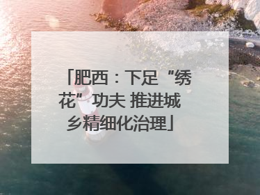 肥西：下足“绣花”功夫 推进城乡精细化治理