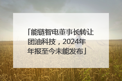 能链智电董事长转让团油科技，2024年年报至今未能发布