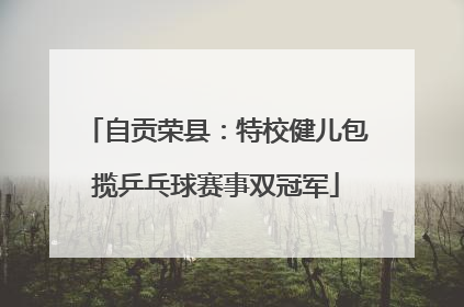 自贡荣县：特校健儿包揽乒乓球赛事双冠军