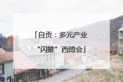 自贡：多元产业“闪耀”西博会