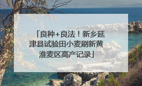 良种+良法！新乡延津县试验田小麦刷新黄淮麦区高产记录