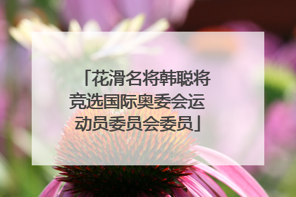 花滑名将韩聪将竞选国际奥委会运动员委员会委员